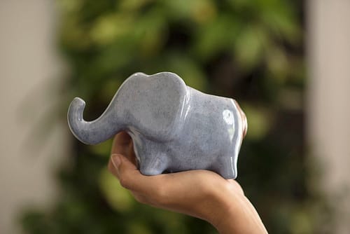Hipó - Vaso Planta Elefante Buda
